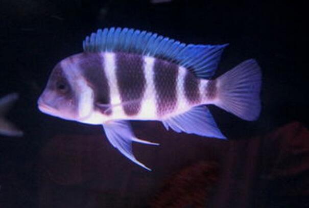 QQ截图20160802132126