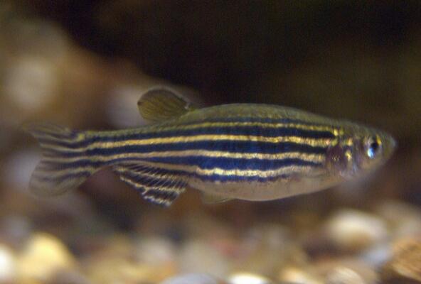 QQ截图20160802142027