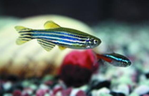 QQ截图20160802142122