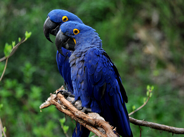 QQ截图20160802183246