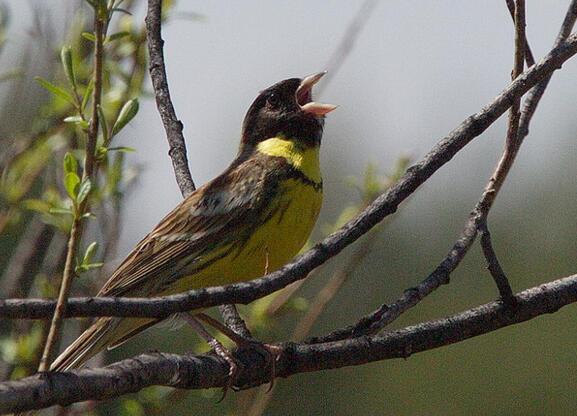 QQ截图20160802183751