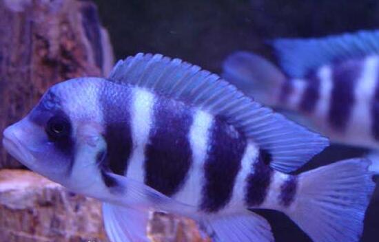 QQ截图20160802171924