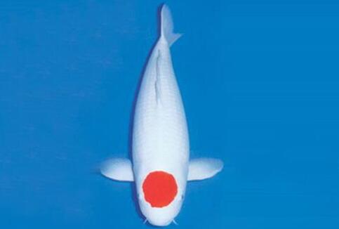 QQ截图20160802165702