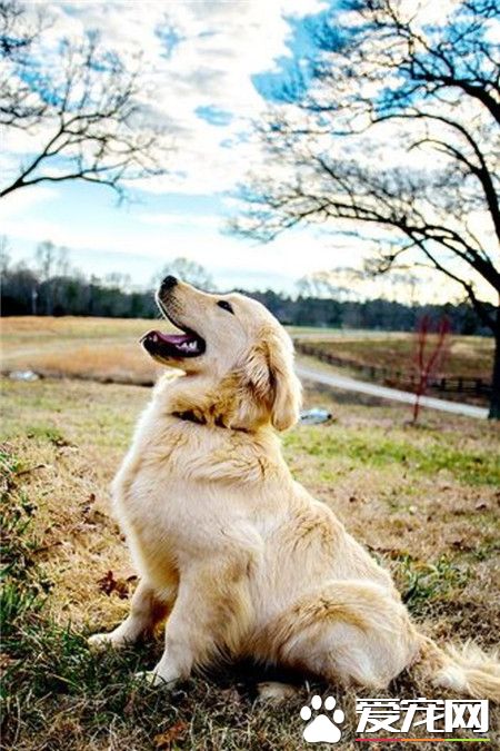 呼吸一下新鲜空气！真舒服！