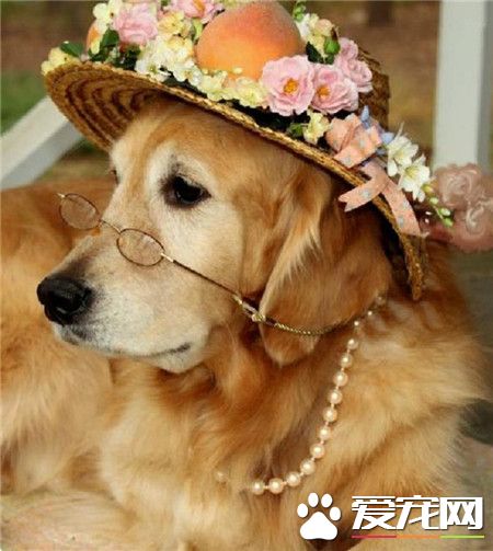 谁说戴了眼镜就不能优雅的？