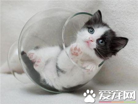 我爬不出来了，快来抱我！