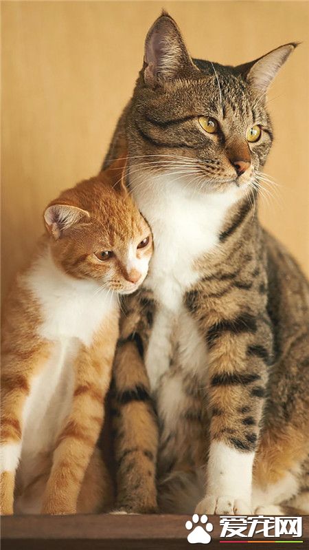 你在看什么？  我也要看~