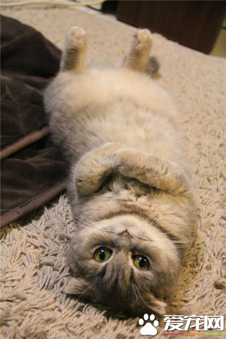 睡觉的时候是这样的举手！