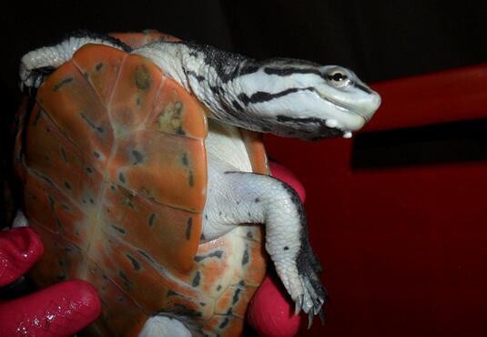 QQ截图20160823171714