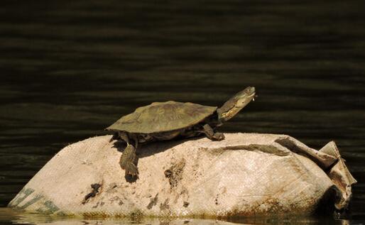 QQ截图20160823171720