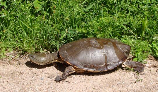 QQ截图20160823171709