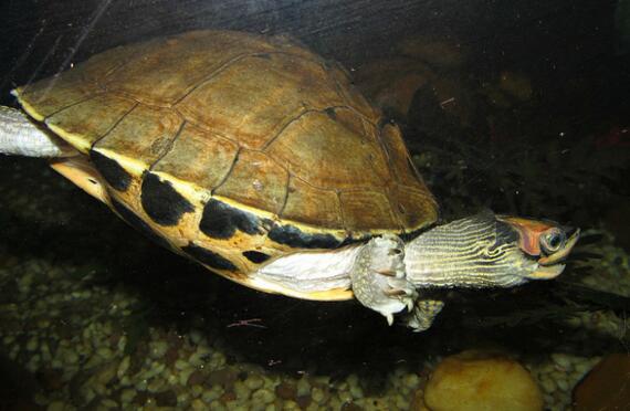 QQ截图20160823170253