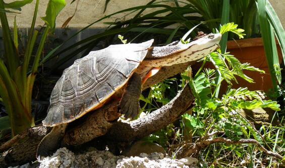 QQ截图20160823172118