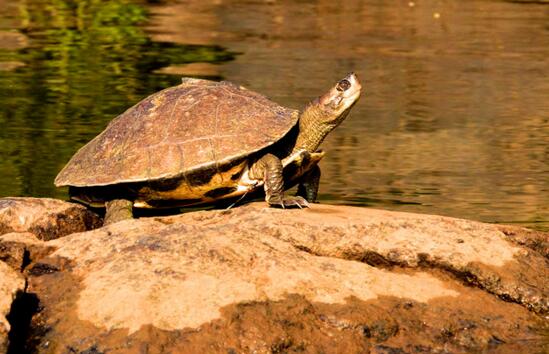 QQ截图20160823170147