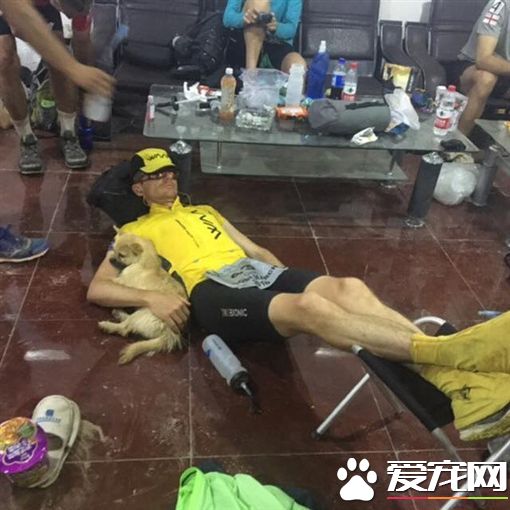 马拉松陪跑狗狗突失踪 英跑者飞中国挨家挨户找