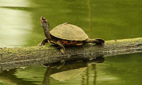 QQ截图20160823170142