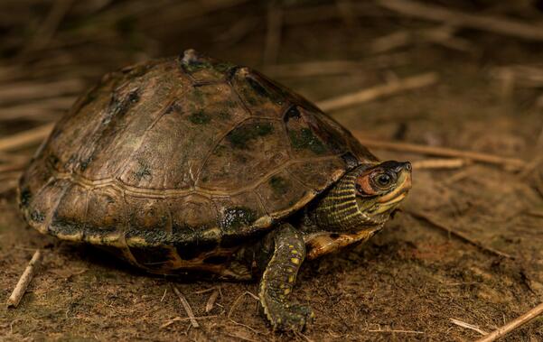 QQ截图20160823170154