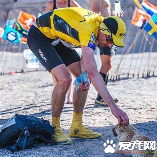 马拉松陪跑狗狗突失踪 英跑者飞中国挨家挨户找