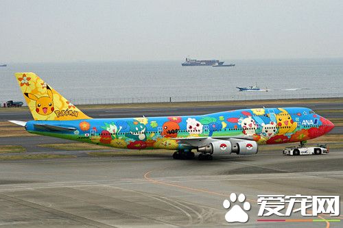 日空航空公司欲推出宠物航班 兽医全程陪伴
