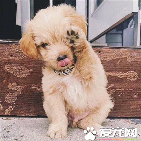 不得不承认拍照的时候你也是这样卖萌的！