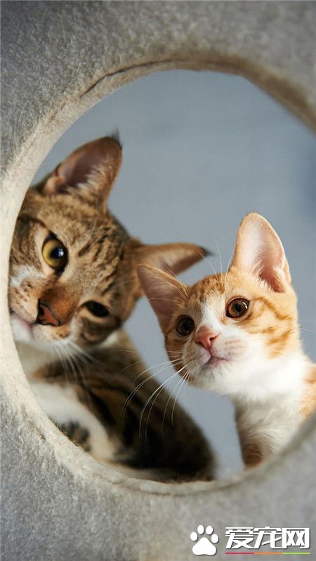 你在看什么  我也要看~