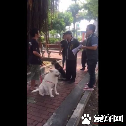 狗在公园尿尿 饲主遭区长取缔掀战火