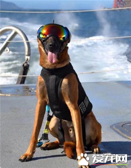 怎么样，新买的墨镜周末去度假不错吧！