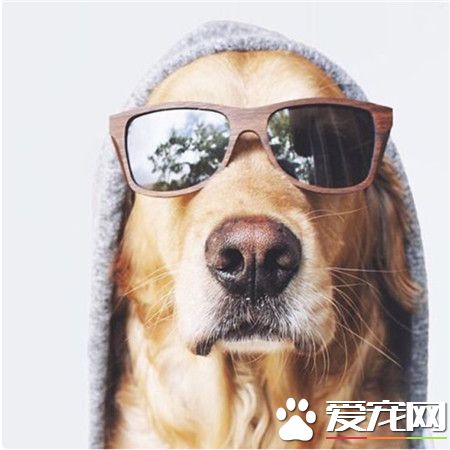 外面太阳大，记得出门的时候戴个墨镜 ！