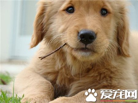 刚吃完饭，来剔个牙先！