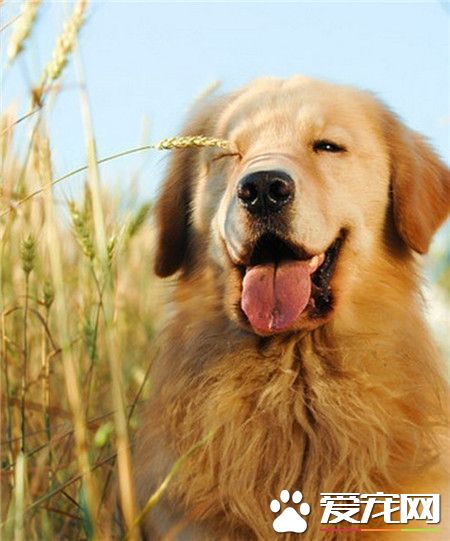 小样～心都要融化了！