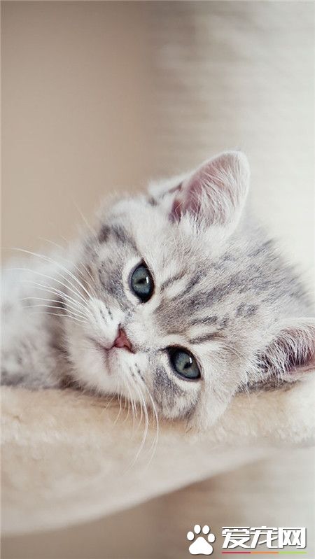 本宝宝不开心了！