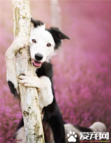 这样拍照片的姿势还行不？