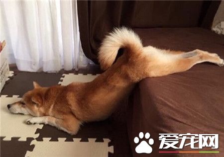 这销魂的动作，画面太美，我不敢看~~