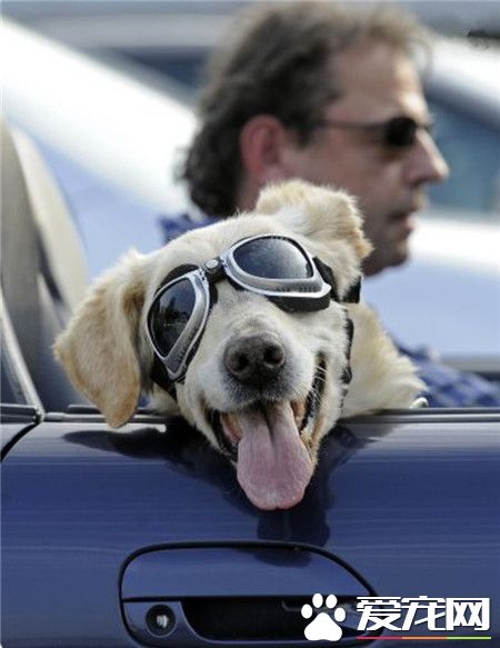 出去度假就是爽！