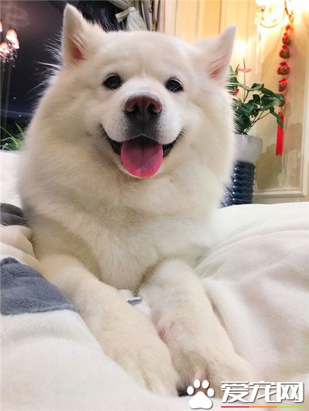 今天我的发型好看吗？