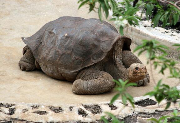 QQ截图20160804170631