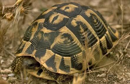 QQ截图20160804165433