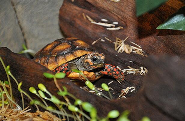 QQ截图20160804174250