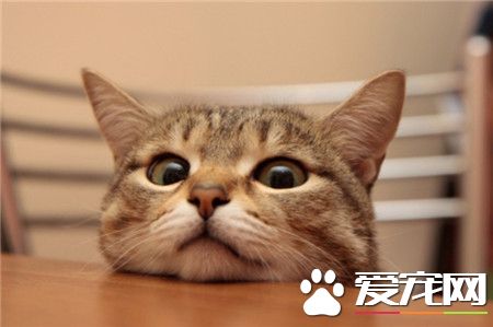 看啥吖？还不快去给我盛饭！