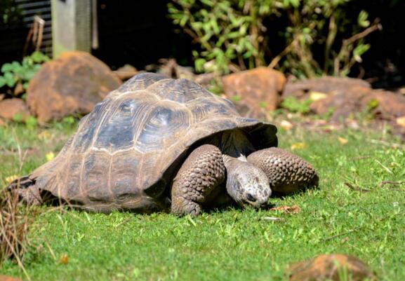 QQ截图20160804170625