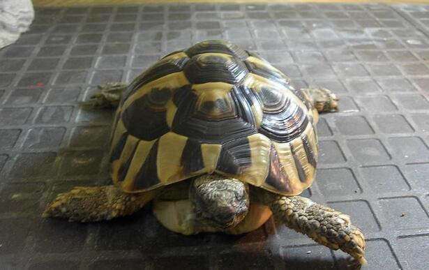 QQ截图20160804165420