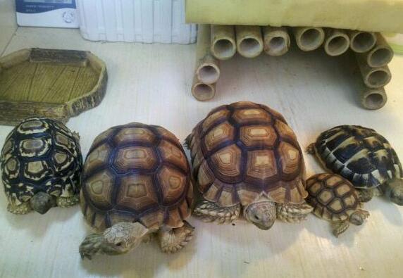 QQ截图20160804164405