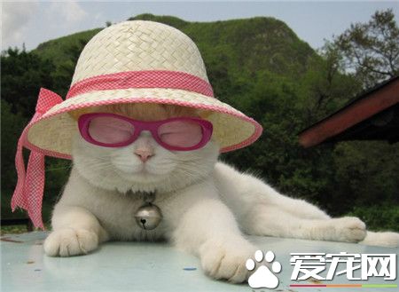 阳光好刺啊~注意防晒哦~