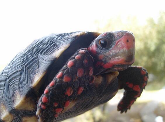 QQ截图20160804174301