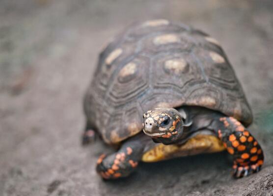 QQ截图20160804175008