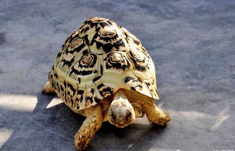 QQ截图20160804163911