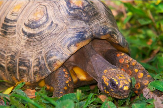 QQ截图20160804172356