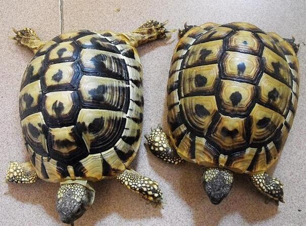 QQ截图20160804165412