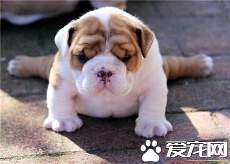 一字马什么的对于汪来说都不是事！