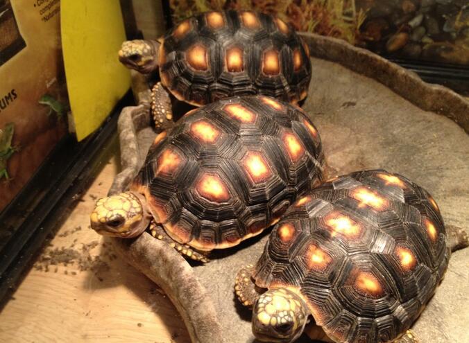 QQ截图20160804171514